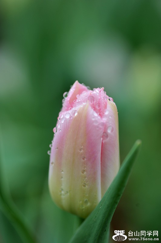 DSC_0667.jpg