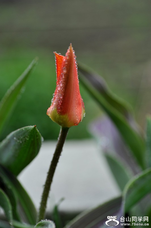 DSC_0673.jpg