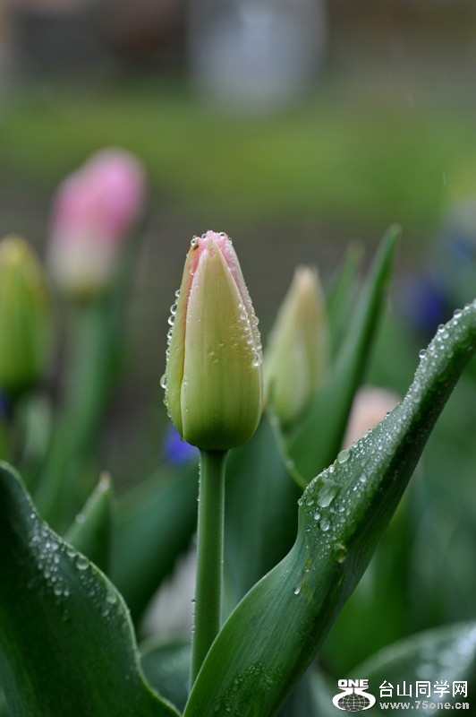 DSC_0680.jpg