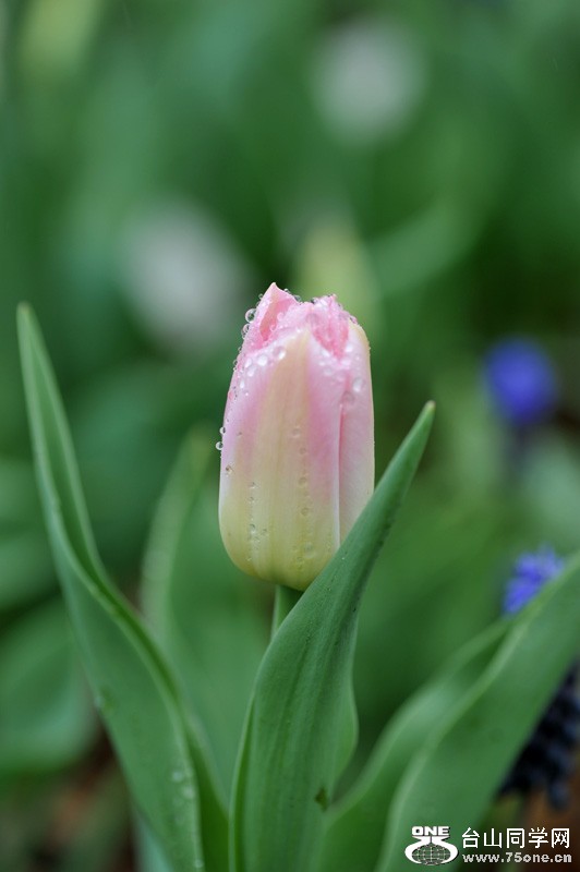 DSC_0668.jpg