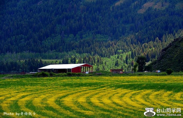 2_35102_da056f10fbadc9d[1].jpg