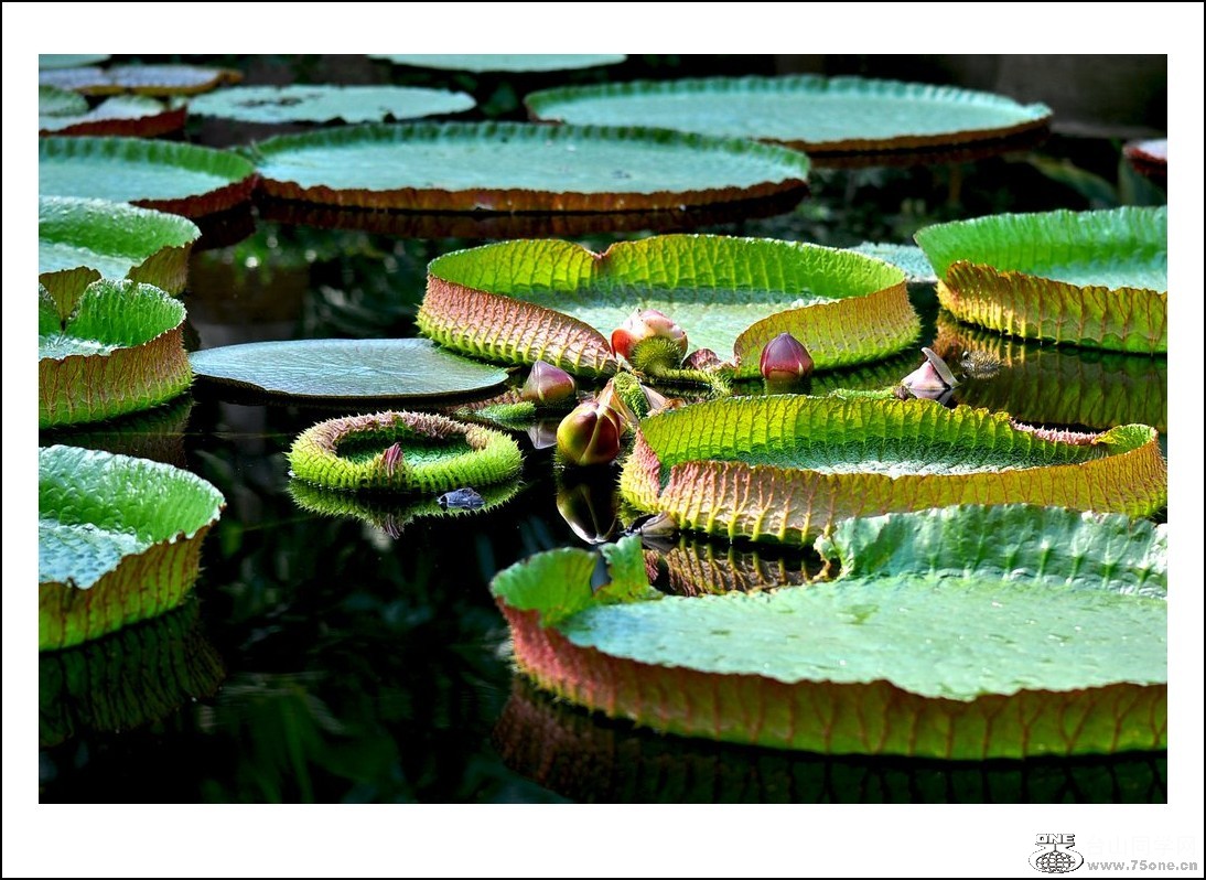 nEO_IMG_DSC_0702_conew1.jpg