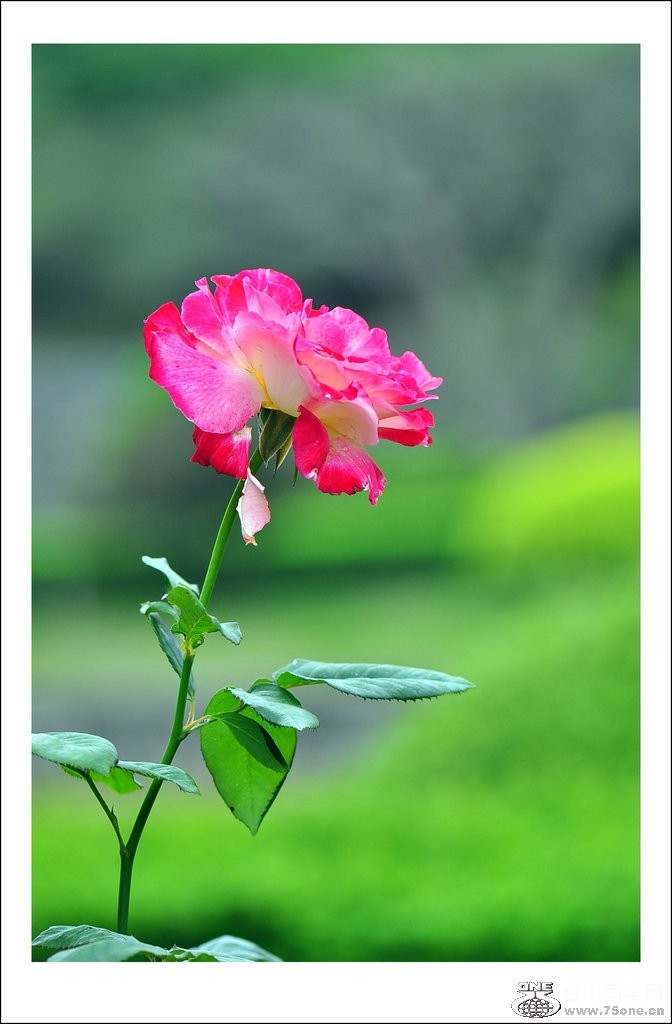 nEO_IMG_DSC_0066_conew1.jpg