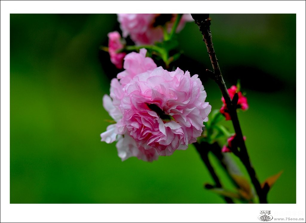 nEO_IMG_DSC_0009_conew1.jpg