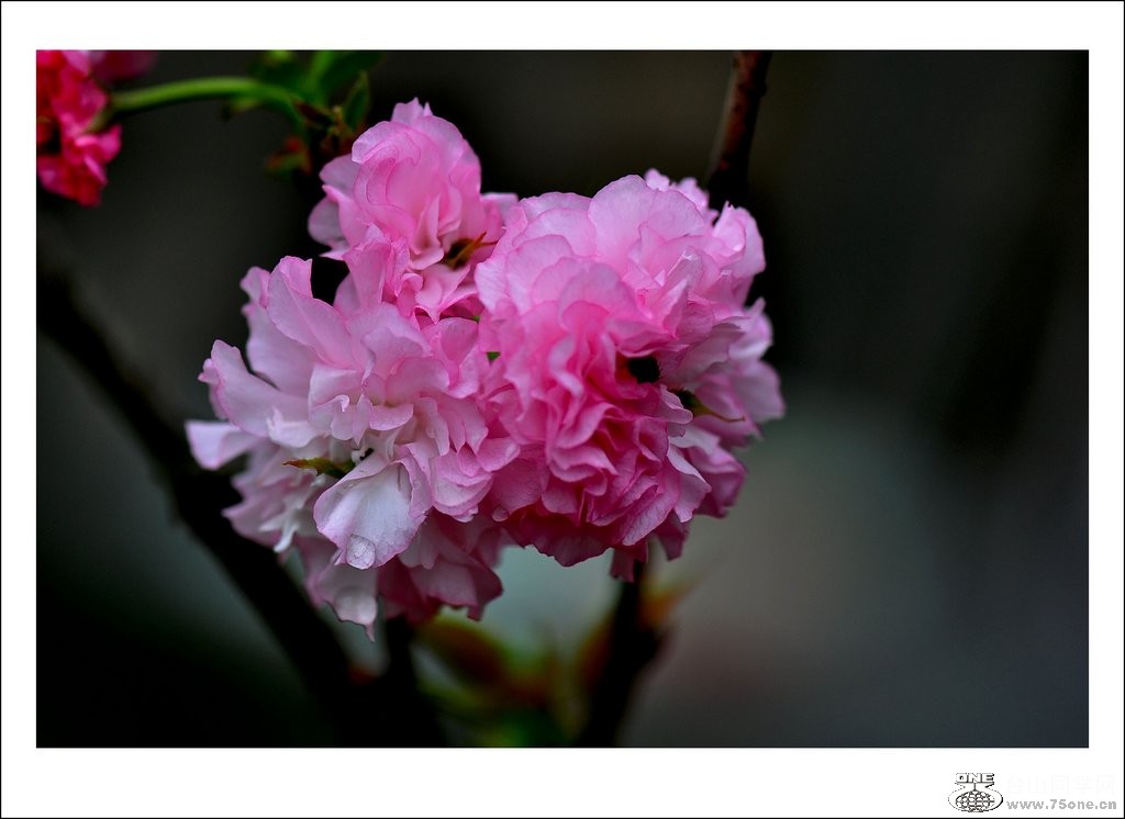 nEO_IMG_DSC_0001_conew1.jpg