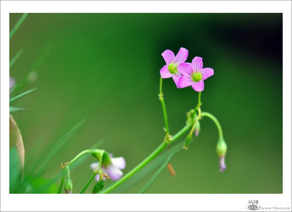 DSC_0198_conew1.jpg