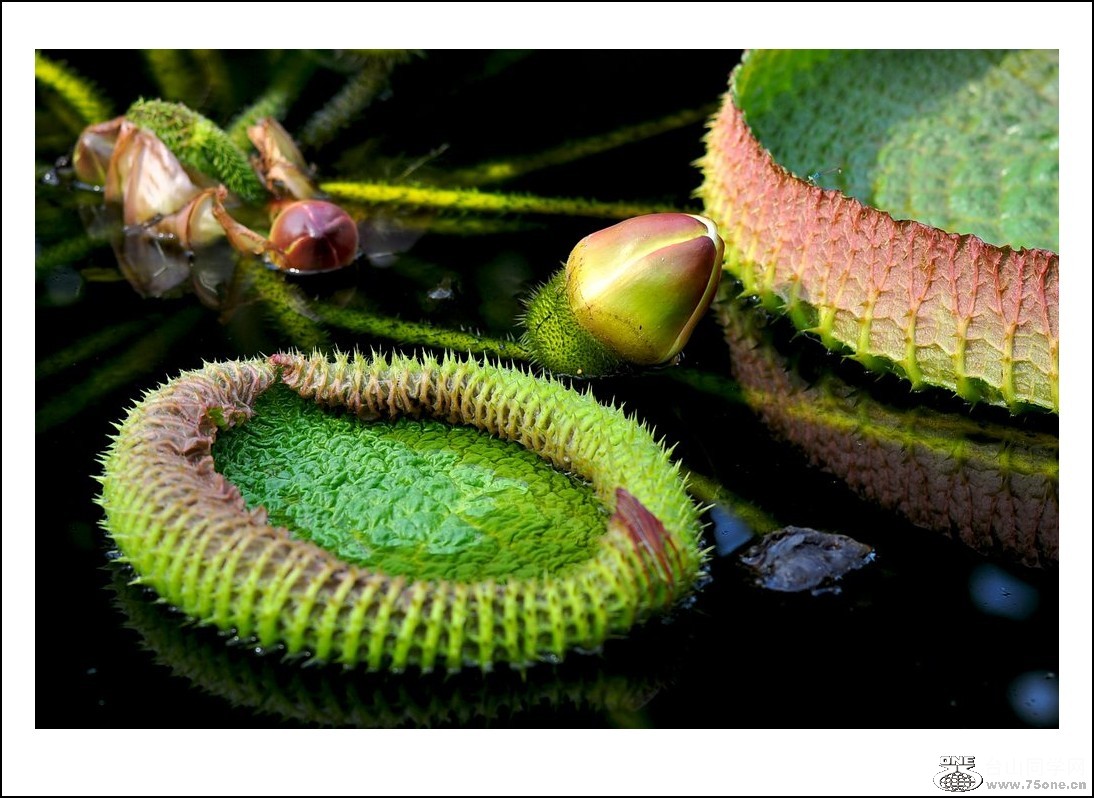 nEO_IMG_DSC_0704_conew1.jpg