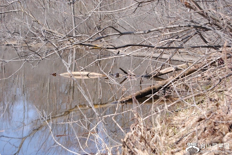 DSC_1056.JPG