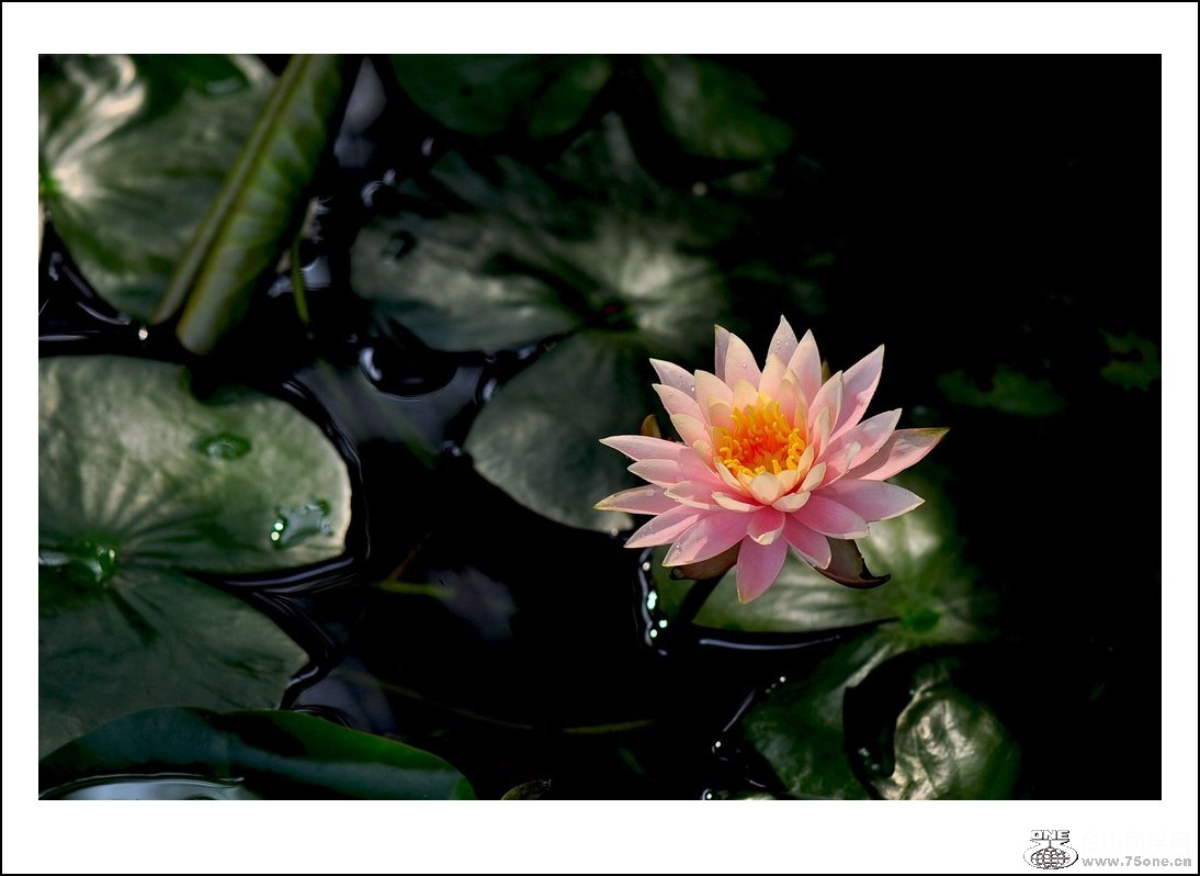 nEO_IMG_DSC_0713_conew1.jpg