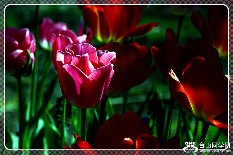 DSC_0031.JPG