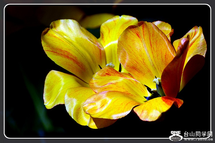 DSC_0099.JPG