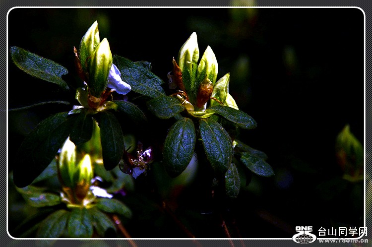 DSC_0027.JPG