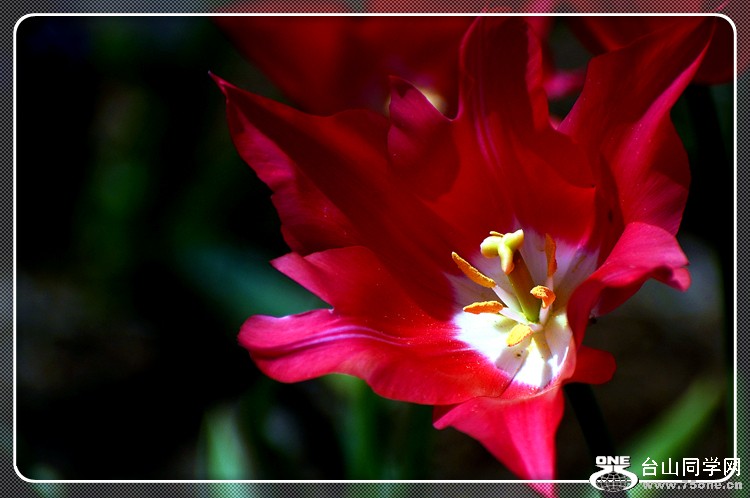 dsc_0401.jpg