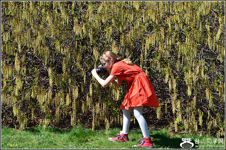 DSC_0382.jpg