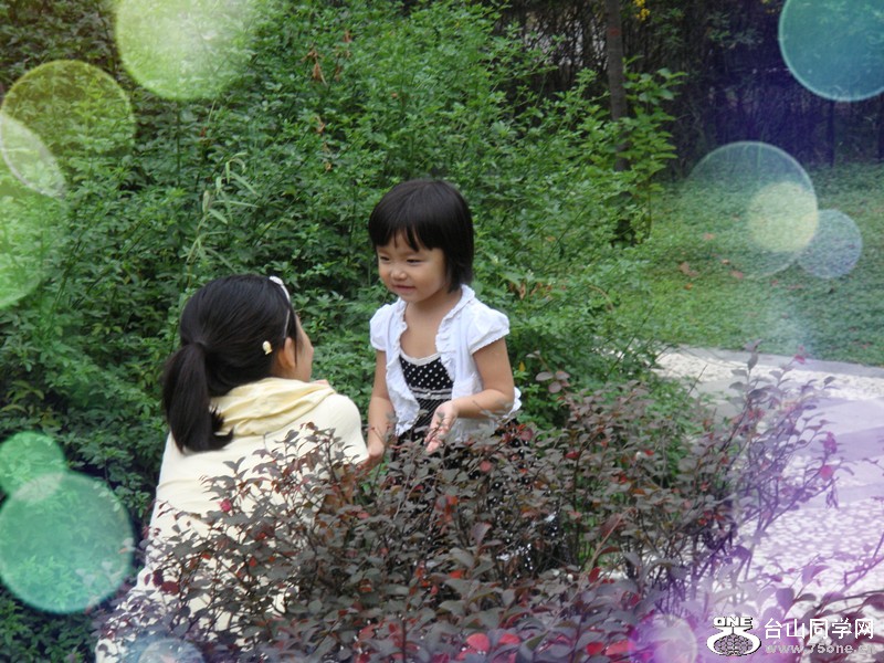dsc00066_.jpg