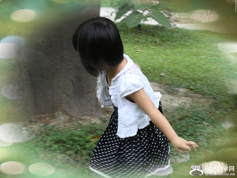 dsc00065_.jpg