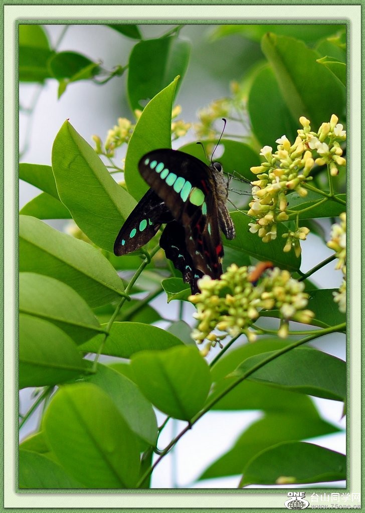nEO_IMG_DSC_0589.jpg