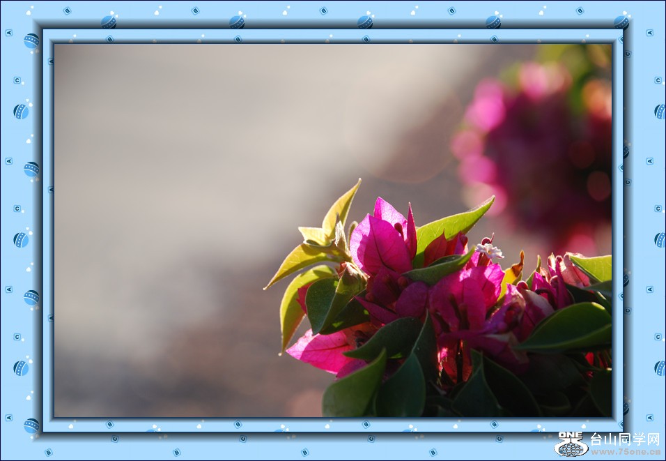 DSC_0038_2.jpg