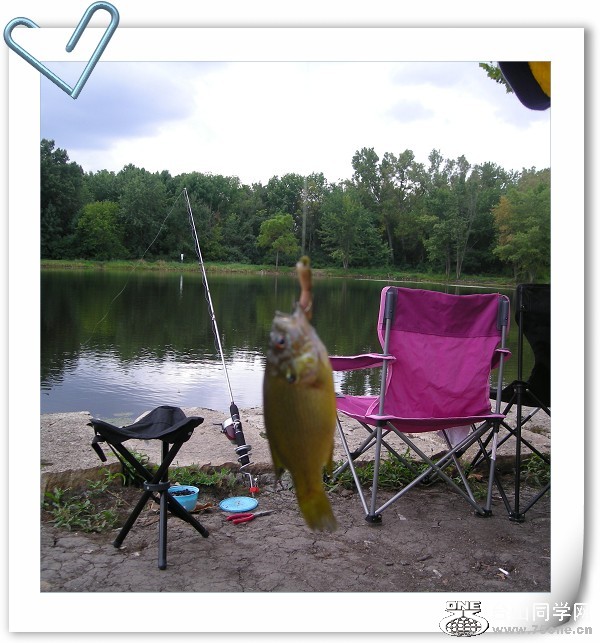 DSCN2247.jpg