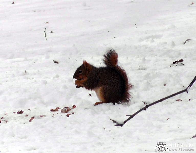 2012_040910321=.jpg