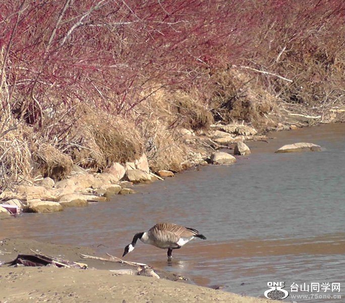 2012_040510020.JPG