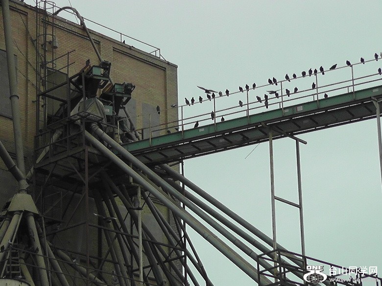 2012_031710134.JPG