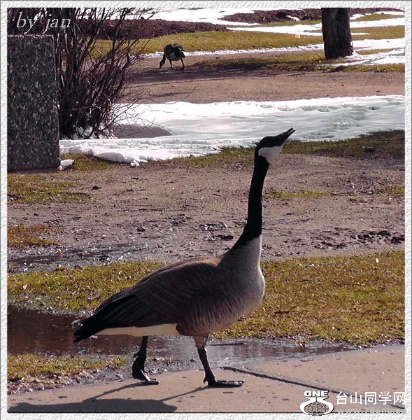 2012_040910879=.jpg