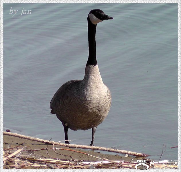 2012_040510015=.jpg