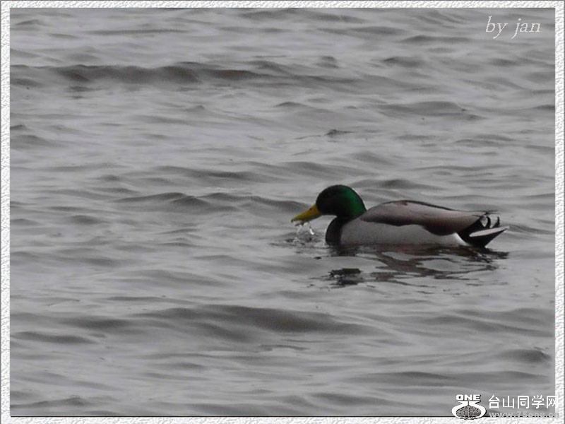2012_040910320=.jpg
