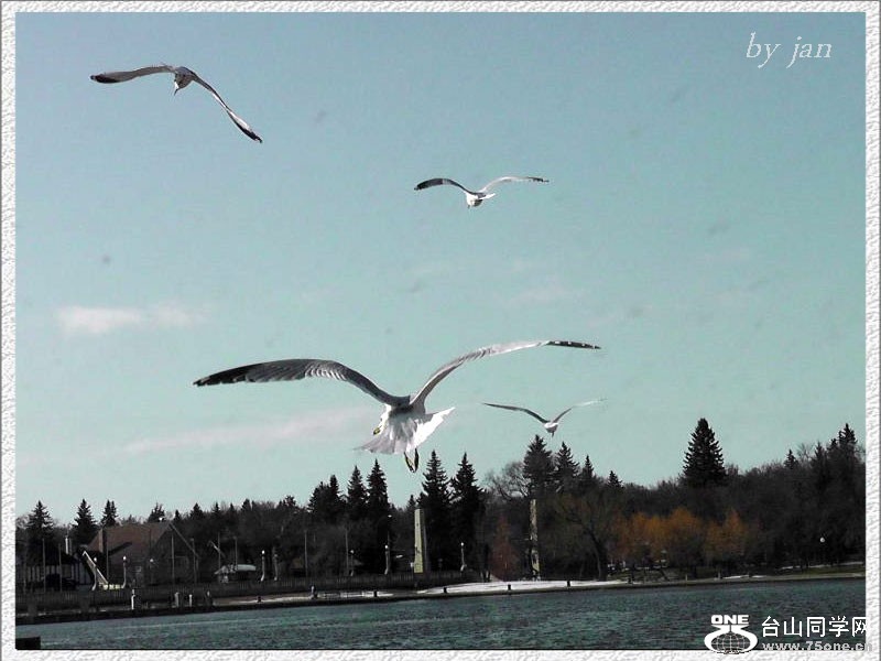 2012_040910888=.jpg