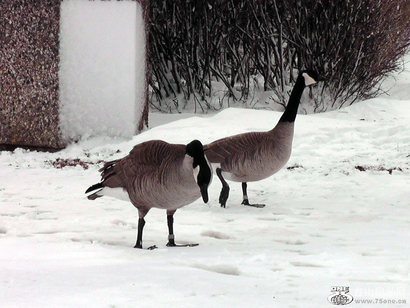2012_040910351=.jpg