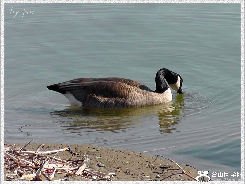 2012_040510018=.jpg
