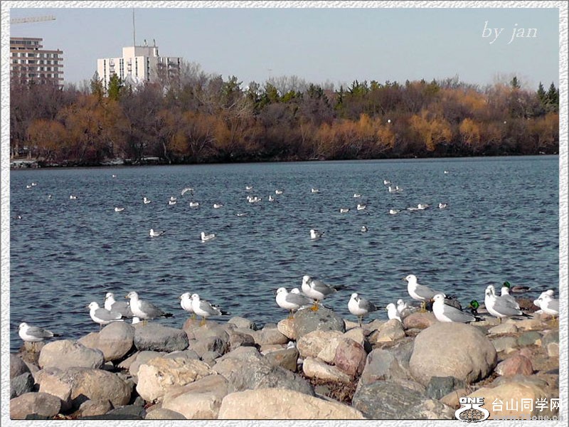 2012_040910955=.jpg