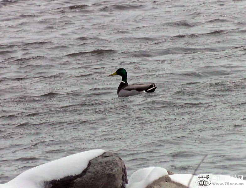 2012_040910318=.jpg