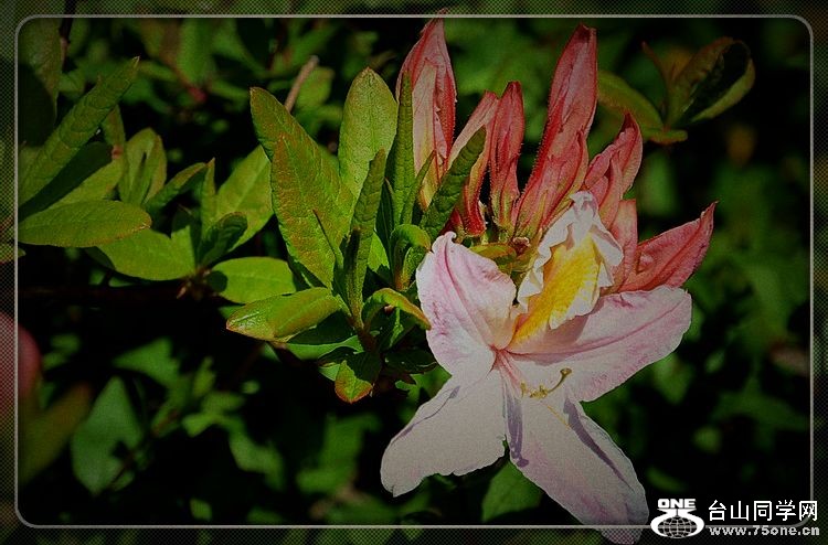 dsc_0252.jpg
