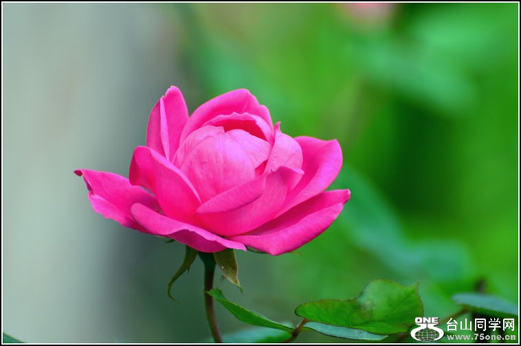 DSC_3000.jpg