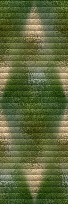 20111103105101831.jpg