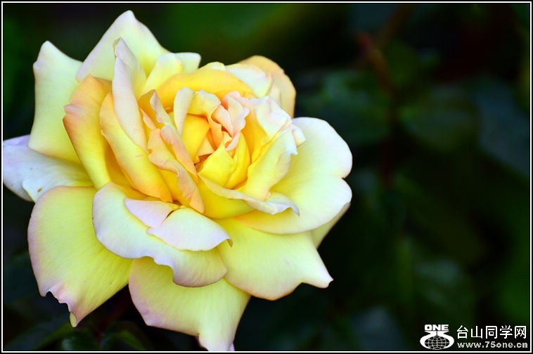 DSC_3742.jpg