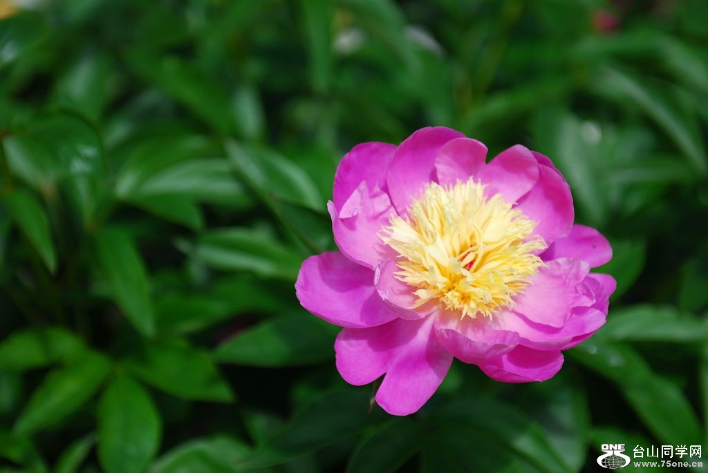 nEO_IMG_DSC_0958.jpg