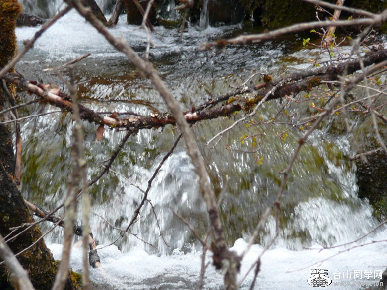 p1010007_.jpg
