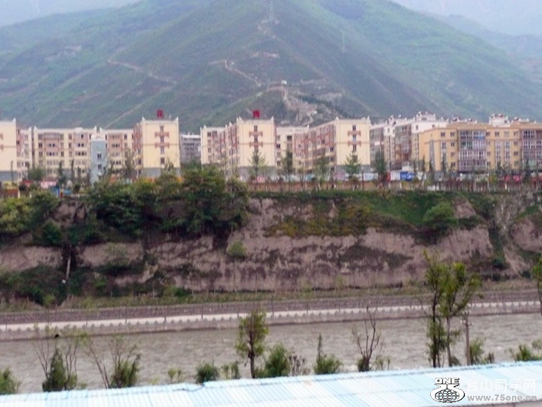 p1000978_.jpg