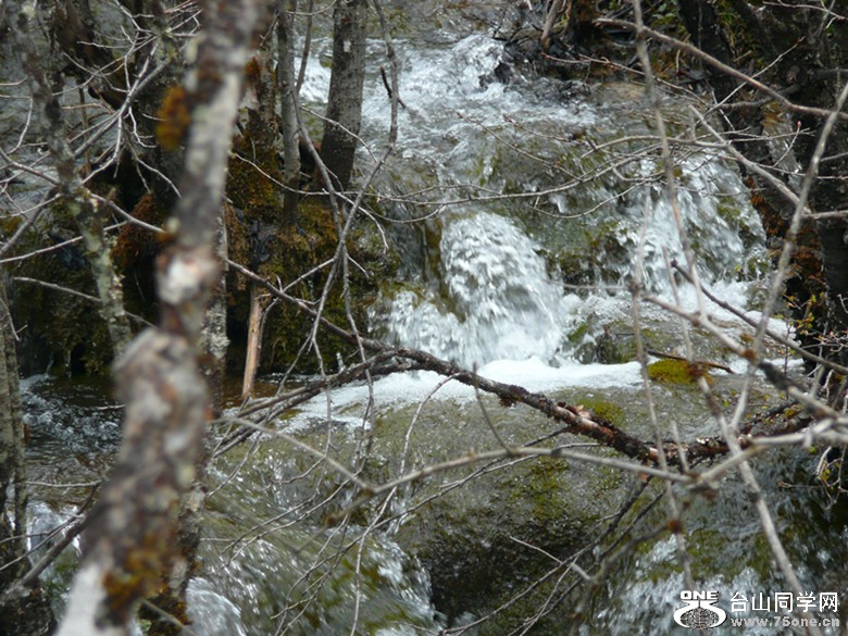 p1010005_.jpg