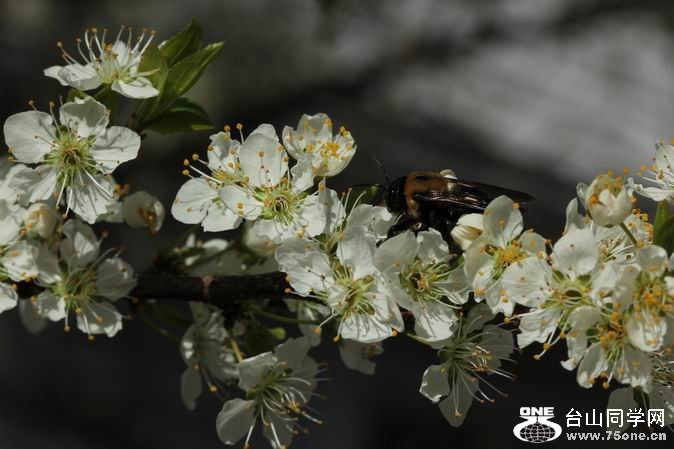 С IMG_2583.JPG