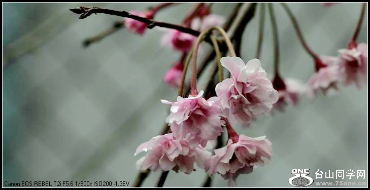 С IMG_3180.JPG