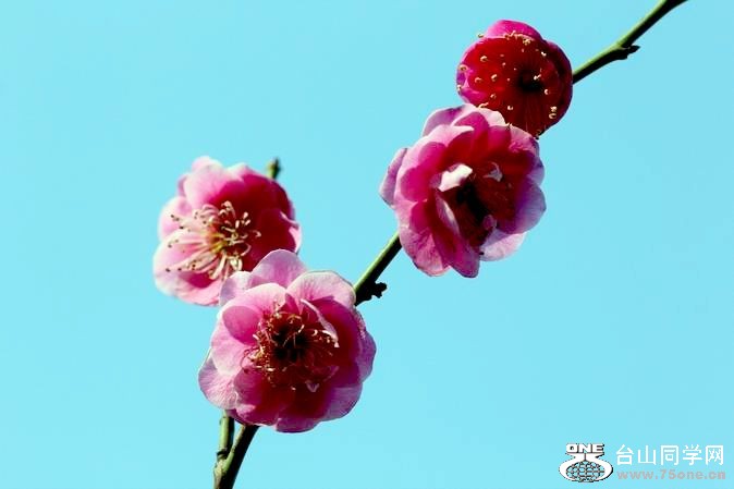 С IMG_1854.JPG