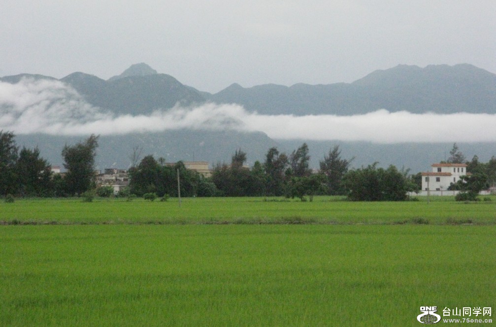 88.jpg