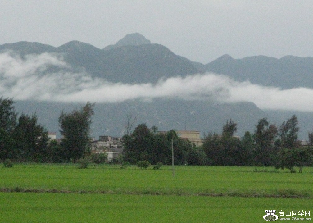 85.jpg