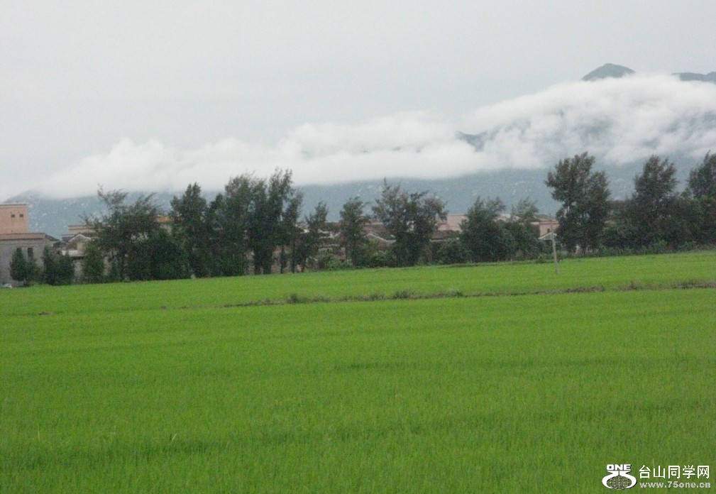87.jpg