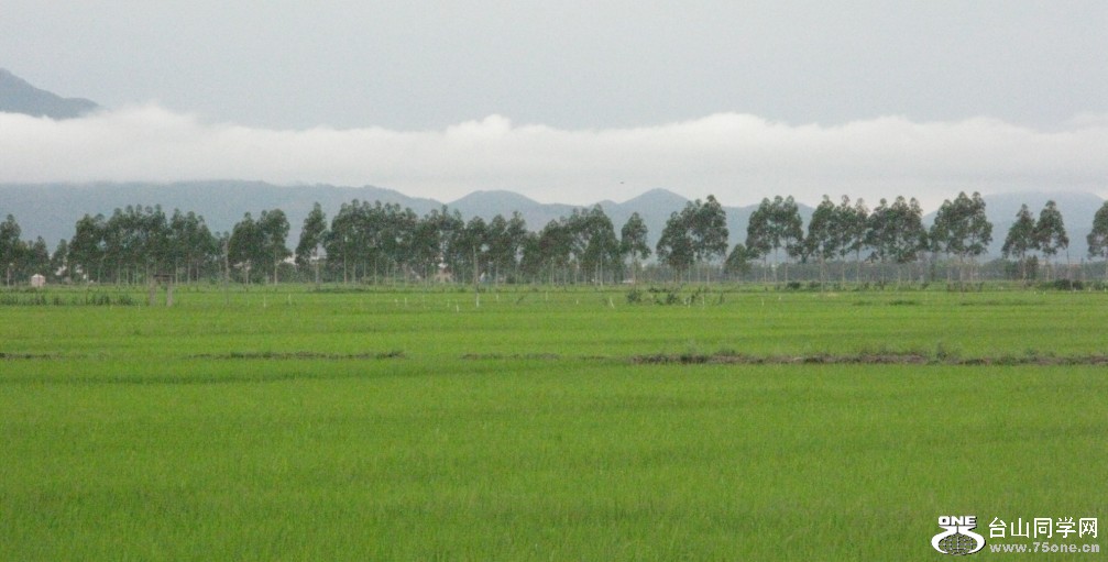 89.jpg