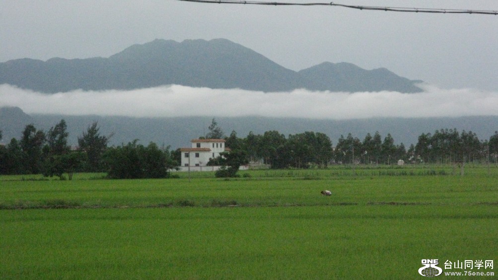 80.jpg
